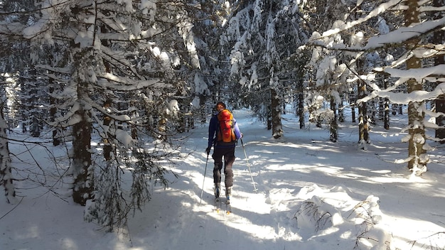 full shot skier holding ski poles