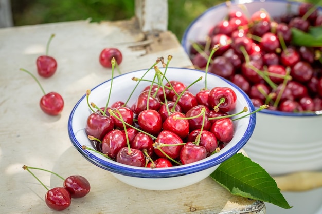 Full of vitamins sweet cherries in summer garden Fruits from garden