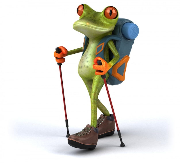 Funny backpacker frog