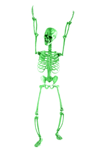 Funny dancing skeleton isolated on white background Happy Halloween