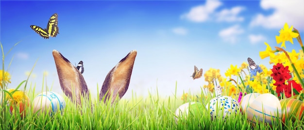 Funny Easter bunny Happy Easter holiday concept