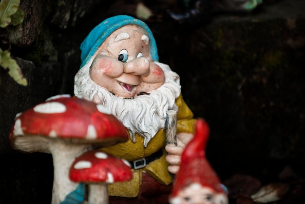 Funny garden gnome with copy space