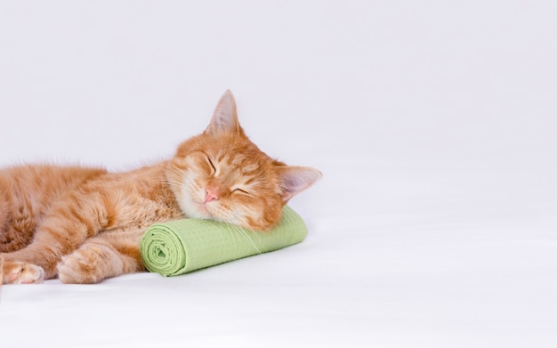 Funny ginger cat is resting lying on a massage towel