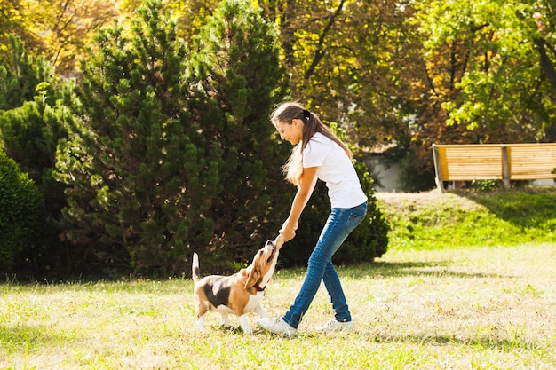 Funny girl throwing stick for active beagle dog in the park