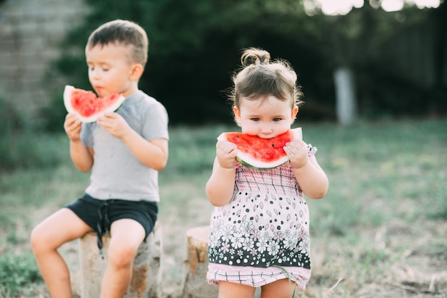 Funny kids eat watermelon. Brother and sister in the open air, sitting on the stumps