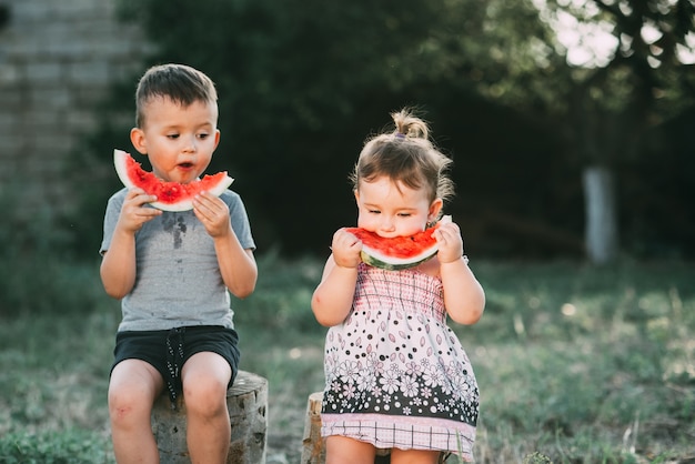 Funny kids eat watermelon. Brother and sister in the open air, sitting on the stumps