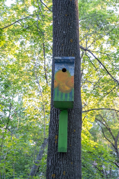 The funny painted birdhouses on the tree Handmade wooden nesting box