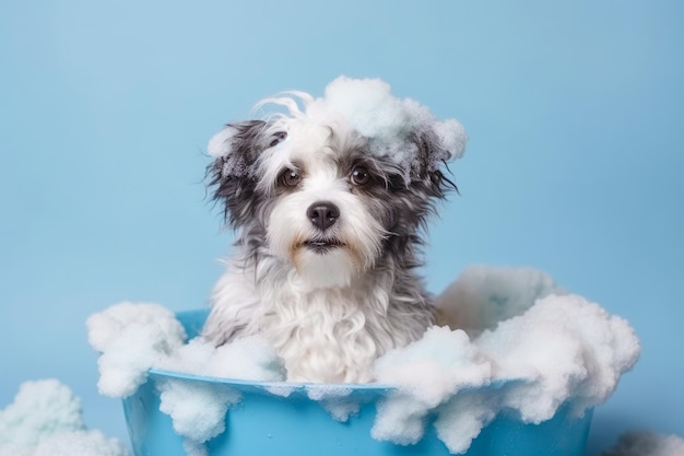 Funny puppy sitting in bathtub waiting for grooming Banner for pet shop grooming salon Generative AI