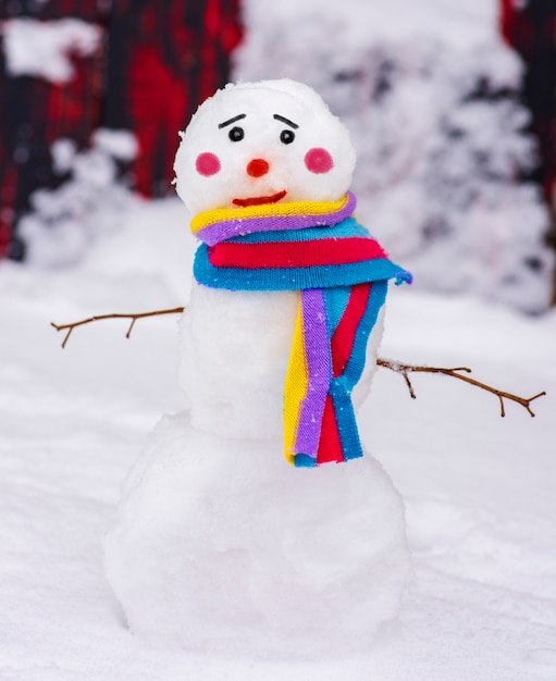 Funny snowman with a colorful scarf and a sad face