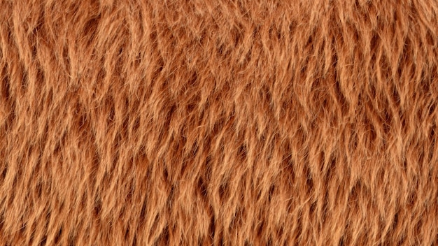 fur texture background