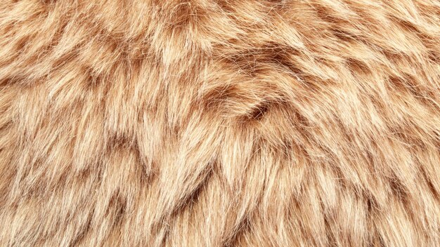 fur texture background