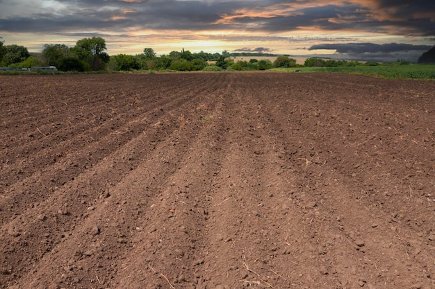 Furrows of plowed prepared soil for sowing at sunset