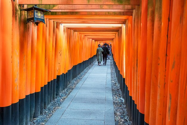 Fushimi Inari-taisha Shrine, over 5000 vibrant orange torii gates. it one of the most popular shrines in Japan. landmark and popular for tourists attractions in Kyoto. Kansai, Japan