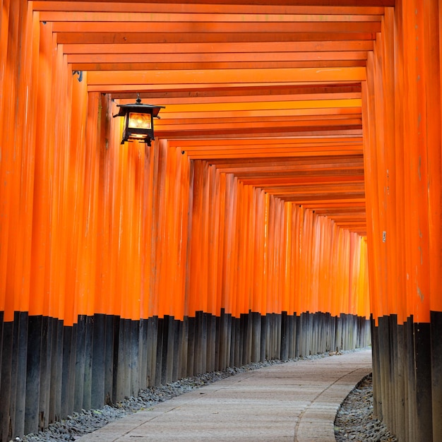 Photo fushimi inari taisha shrine torii gates in kyoto japan