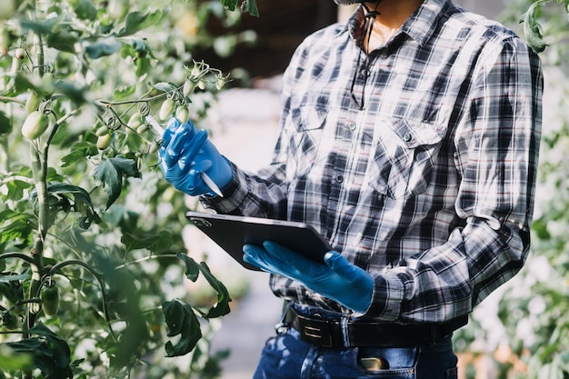 Futuristic businessman farms vegetables and crops using modern AI technology using mobile phones temperature and humidity sensors water tracking climate control holographic data data icons