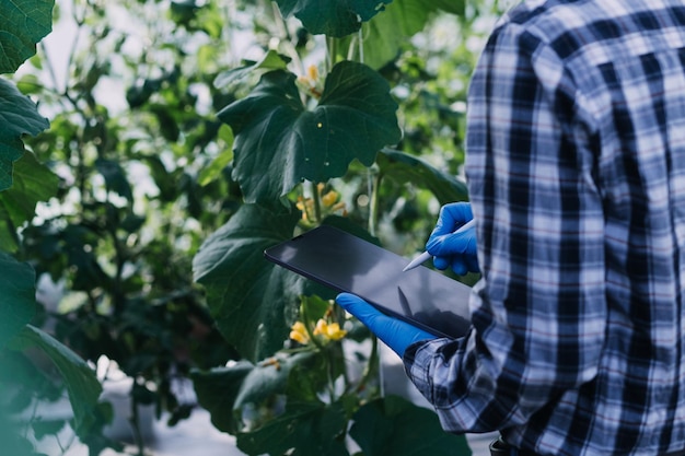 Futuristic businessman farms vegetables and crops using modern AI technology using mobile phones temperature and humidity sensors water tracking climate control holographic data data icons