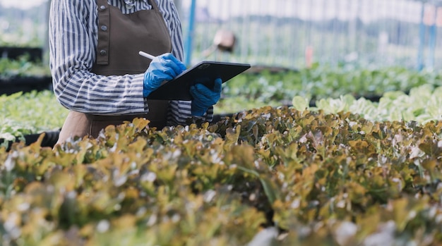 Futuristic businessman farms vegetables and crops using modern AI technology using mobile phones temperature and humidity sensors water tracking climate control holographic data data icons