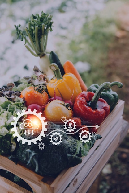 Futuristic businessman farms vegetables and crops using modern AI technology using mobile phones temperature and humidity sensors water tracking climate control holographic data data icons