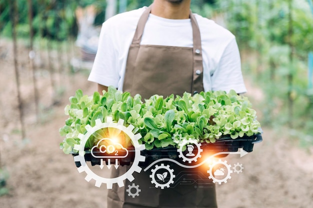 Futuristic businessman farms vegetables and crops using modern AI technology using mobile phones temperature and humidity sensors water tracking climate control holographic data data icons