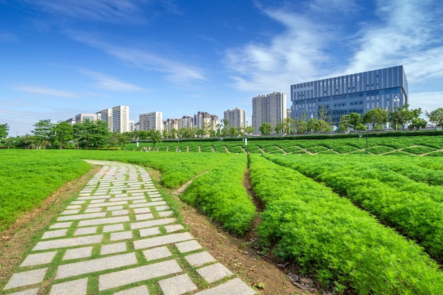 Fuzhou Cityscape, China