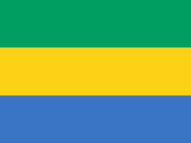 Gabon flag background Illustration Texture