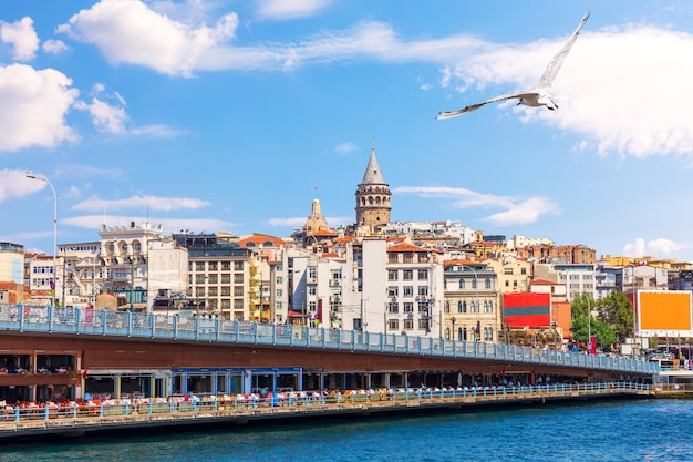 The Galata Bridge and the Galata Tower in Istanbul Turkey