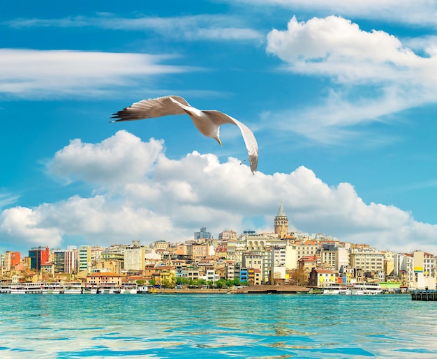 Galata Tower and boats