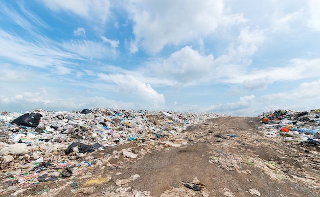 garbage in Municipal landfill for household waste