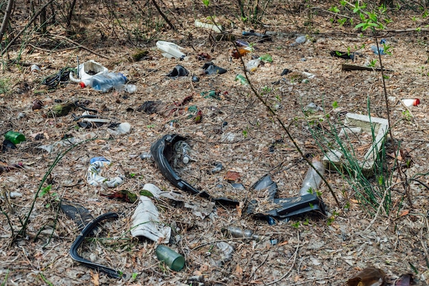 Garbage pile in forest