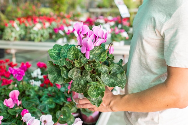 Garden center for the sale of plants and flowers