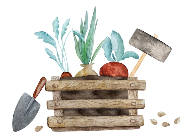 Garden equipment and harvest watercolor painting