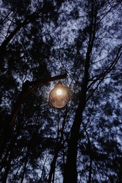 A garden lamp