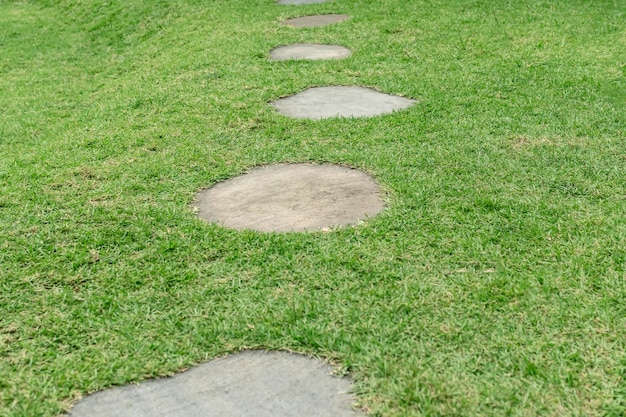 Garden path made of oval tiles on green lawn Closeup