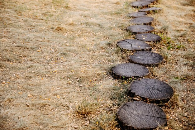 Garden path made of wooden stumps