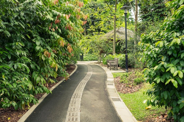 Garden pathway