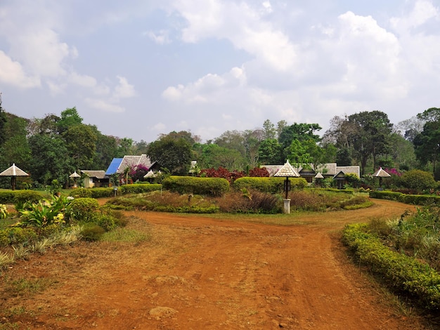 The garden in south Laos