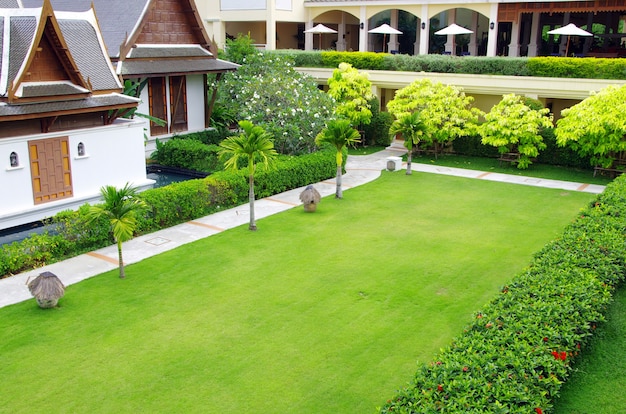 Garden stone path with grass