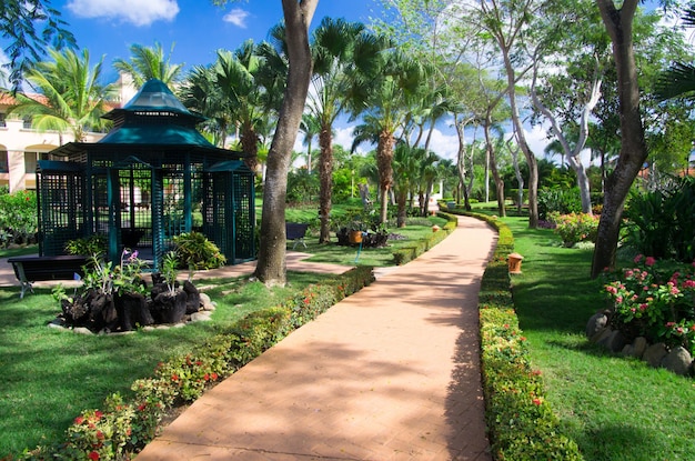 Garden stone path with grass