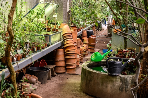 Garden tools. clay pots for seedlings. beautiful botanical garden. beautiful green plants. greenery around.