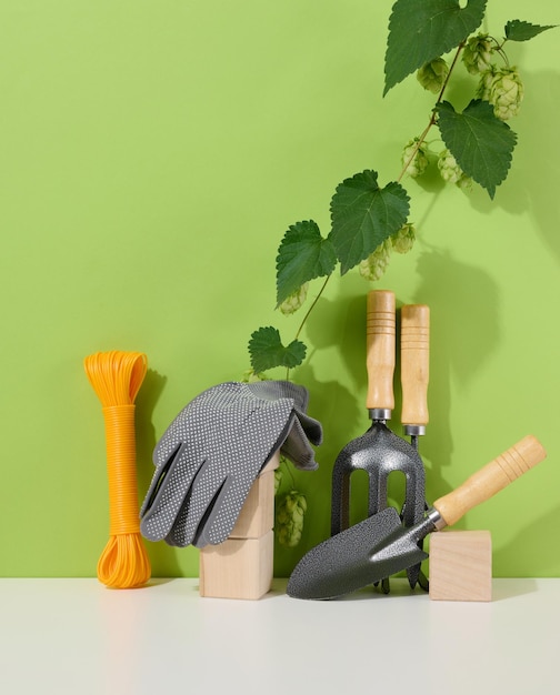 Garden tools for processing beds in the garden and textile gloves on a green background