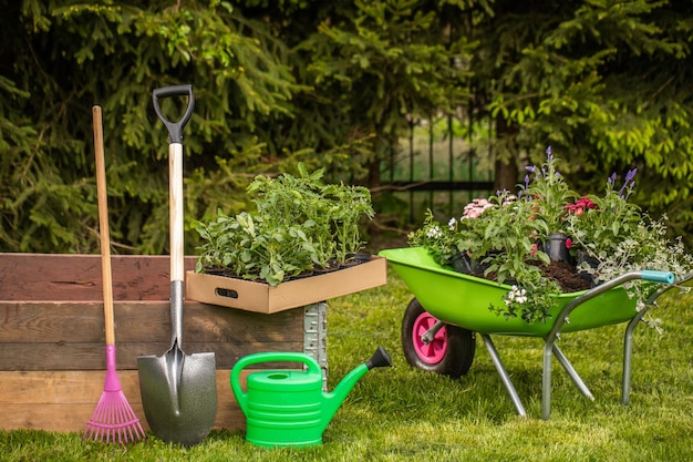 A garden watering can gloves small shovel garden wheelbarrow on a green lawn Beautiful garden ar