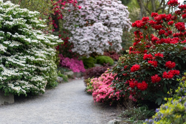 Garden with blooming trees during spring time