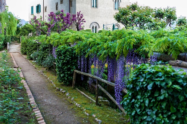 Garden with different plants at Vile Cimbrone in Ravello Italy