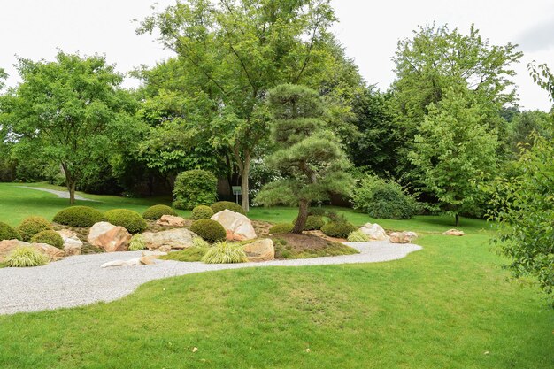 A garden with a rock garden and a tree