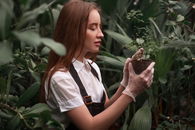 Garden worker look at seedling growth