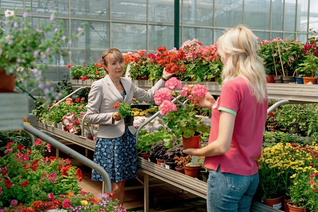 Gardener and his manager work in modern nursery plant store with a clipboard in greenhouse