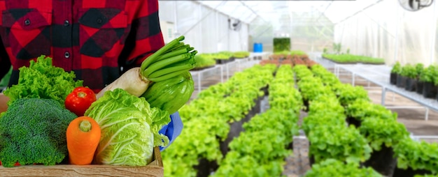 A gardener holds a wooden crate with various organic vegetables vegetable garden background