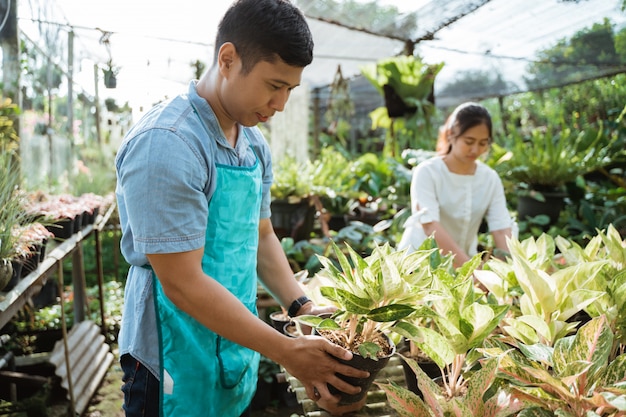 Gardener inspect of his plants