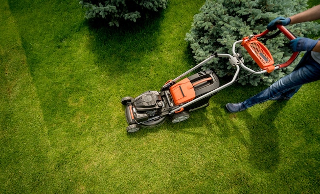 Gardener mowing the lawn. Landscape design. Green grass background