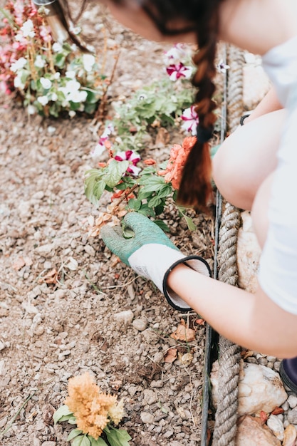 Gardener planting flowers in the garden close up photo Young woman learning new gardening skills Summer gardening copy space bed home garden seedling flowers into the black soil